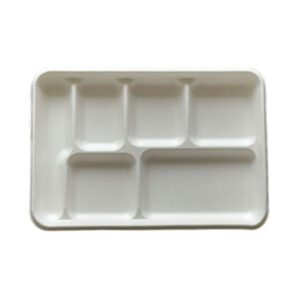 6 Compartment Plates - Biodegradable Sugarcane x250